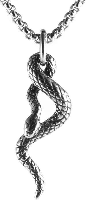 HZMAN Gothic Jewelry Men's Stainless Steel Animal Snake Pendant Chain Necklace
